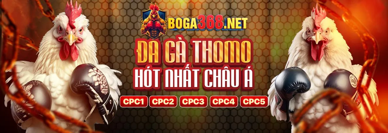 Giao diện ứng dụng 12play trên điện thoại